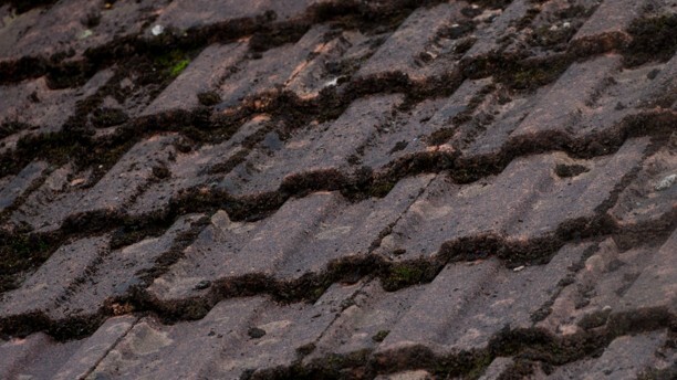 Roof Tile damage on an older Scottish home, showing weathered roof tiles with surface deterioration and dark patches caused by prolonged exposure to the elements.