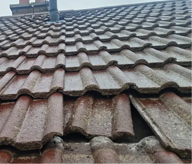 Dislodged-Tiles Dislodged-Tiles