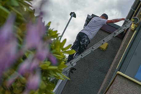 man-on-ladder-doing-biocide-treatment man-on-ladder-doing-biocide-treatment
