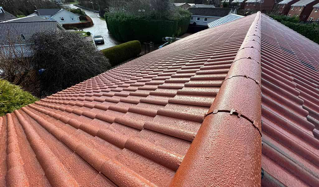 roof-refurbishment-terracotta-a_1677442142